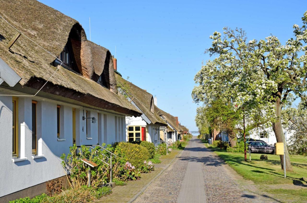 Ferienwohnungen Im Fischerdorf Und Neu Reddevitz Exterior foto